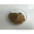 Celery Leaf P.E.Celery Seed Extract Powder